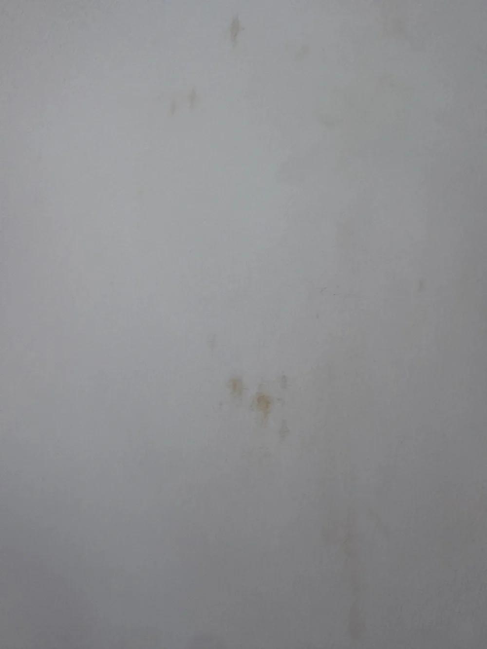 J. Crew small stain